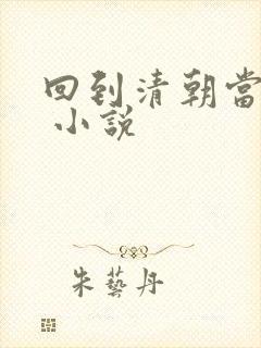 回到清朝当皇上 小说