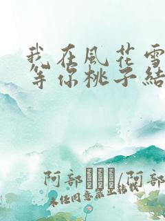 我在风花雪月里等你桃子结局