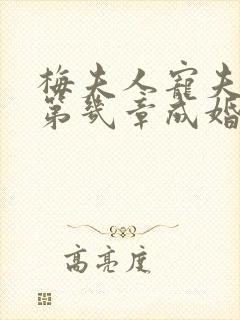 梅夫人宠夫日常第几章成婚