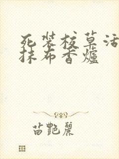 死装校草活该被抹布香炉