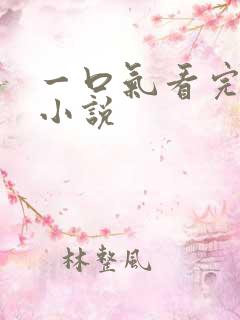 一口气看完爽文小说