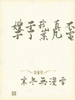 嫂子我真不是傻子了叶凡电子书完整版