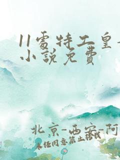 11处特工皇妃小说免费