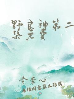 野良神第二季全集免费