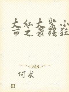 大红大紫小说都市之最强狂兵