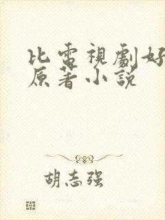 比电视剧好看的原著小说