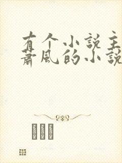 有个小说主角叫萧风的小说