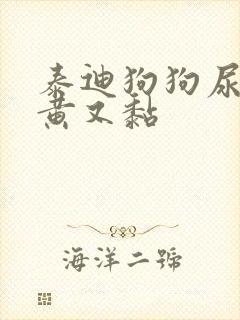 泰迪狗狗尿液又黄又黏