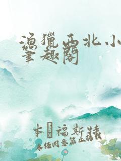 渔猎西北小说 笔趣阁