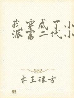 我穿成了小说反派富二代小说版