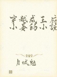 穿越成王府炮灰小妾的小说