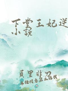 下堂王妃逆袭记小说