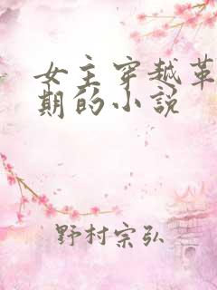 女主穿越革命时期的小说