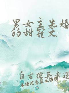男女主先婚后爱的甜宠文