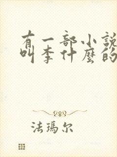 有一部小说主角叫李什么的