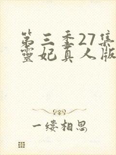 第三季27集通灵妃真人版