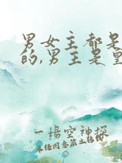 男女主都是穿越的,男主是皇上