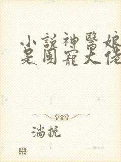 小说神医娘亲她是团宠大佬txt