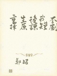 重生后我不再选择原谅短剧