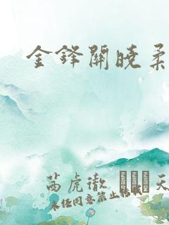 金锋关晓柔小说