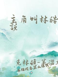 主角叫林皓的小说