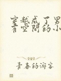 穿越成了男知青有空间的小说