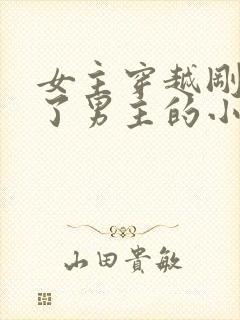 女主穿越刚好救了男主的小说