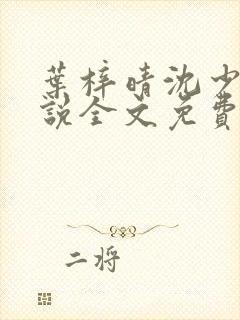 叶梓晴沈少廷小说全文免费阅读