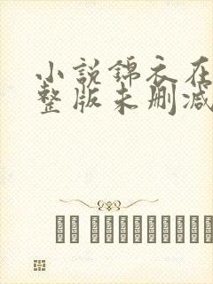 小说锦衣在上完整版未删减小说