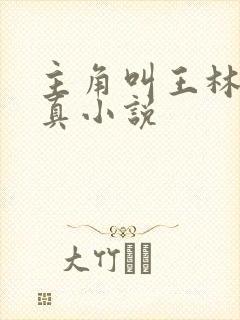 主角叫王林的修真小说