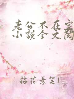 老公不在家赵磊小说全文阅读