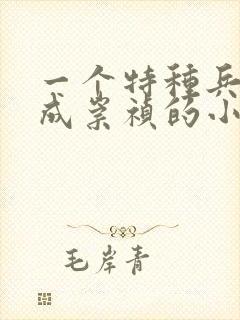 一个特种兵穿越成崇祯的小说