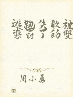 逃跑失败被大佬惩罚了的双男主小说