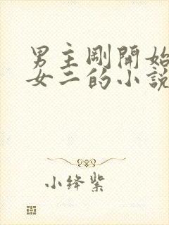 男主刚开始喜欢女二的小说