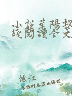 小说叶阳黎洁在线阅读全文