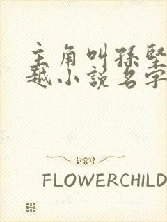 主角叫孙坚的穿越小说名字