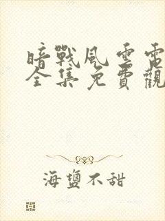 暗战风云电视剧全集免费观看