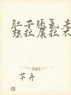 肚子胀气老放屁想拉屎拉不出来怎么回事