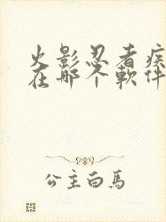 火影忍者疾风传在哪个软件可以看