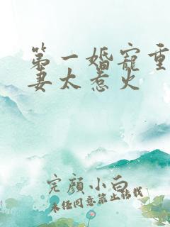 第一婚宠重生娇妻太惹火