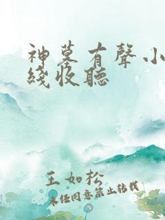 神墓有声小说在线收听