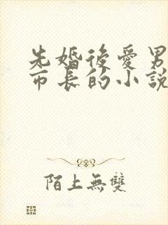 先婚后爱男主是市长的小说