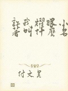 许我耀眼小说原著叫什么名字