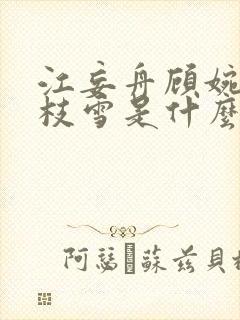 江妄舟顾婉禾宋枝雪是什么小说