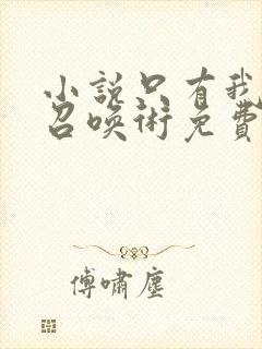 小说只有我能用召唤术免费