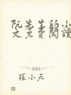 阮先生的小说全文免费阅读