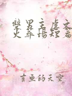 双男主虐文追妻火葬场短篇