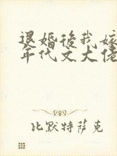 退婚后我嫁给了年代文大佬