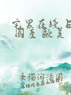 宅男在线 日韩 国产 欧美