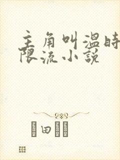 主角叫温时的无限流小说